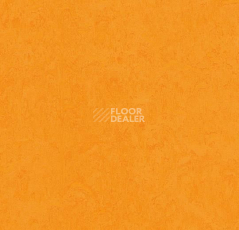 Линолеум Forbo Marmoleum Decibel on Order 326235 marigold фото 1 | FLOORDEALER